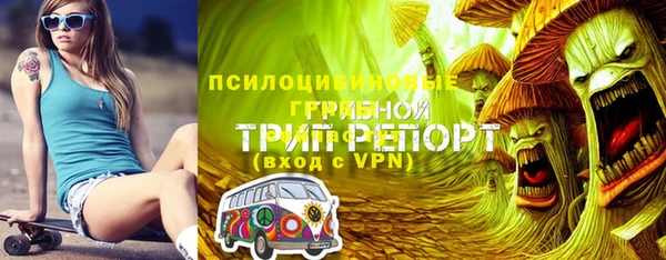 сатива Белоозёрский