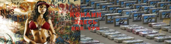 a pvp Белокуриха